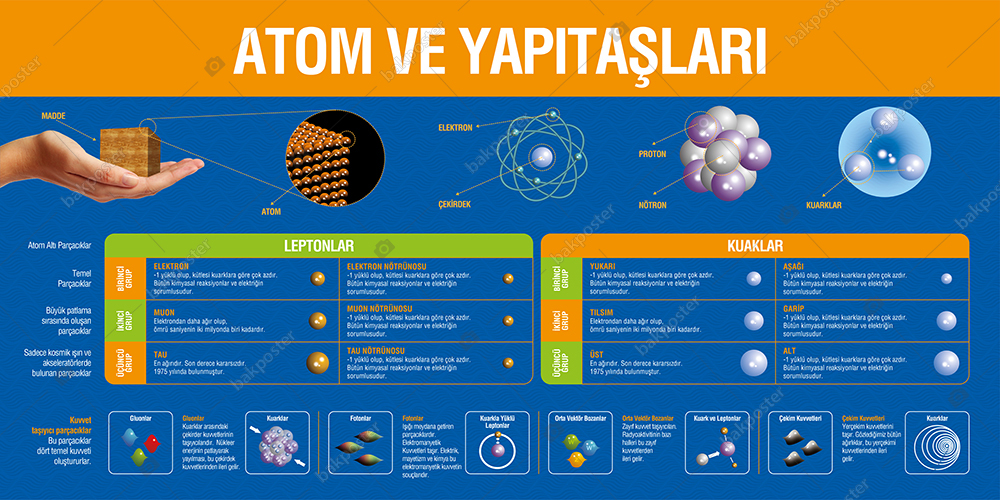 Карта atom fast