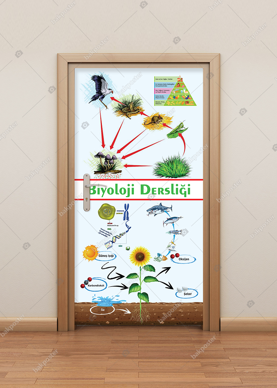 Biyoloji Sınıf Kapı Giydirme Biyoloji Sınıf Kapı Giydirme
