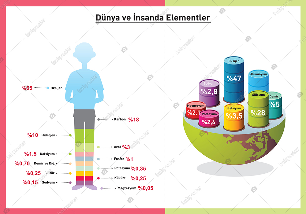 Dünya ve İnsanda Elemetler