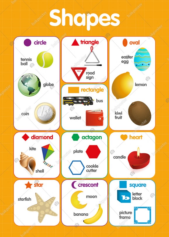 Shapes İngilizce Poster 70x100 cm - Vinil ( Branda ) Afiş