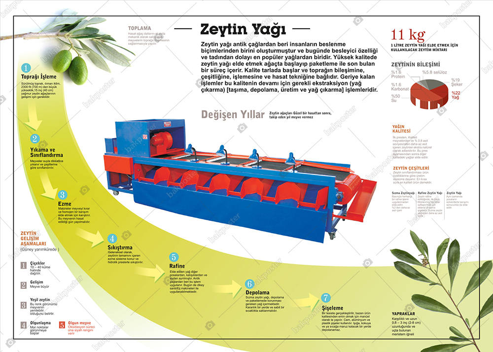 Zeytin Yağı