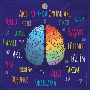 Akıl ve Zeka Oyunları