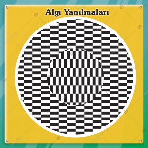 Algı Yanılmaları