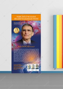 Aziz Sancar Kapı Giydirme