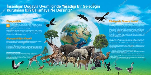 Biyoçeşitlilik