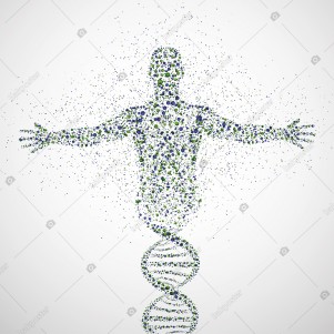 Dna Sarmalı