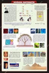 Doğada Matematik Doğada Matematik