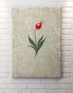 Ebru Sanatı