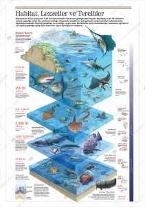 Habitat, Lezzetler ve Tercihler