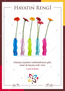 Hayatın Rengi Poster