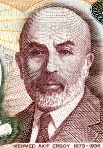 Mehmet Akif Pulu