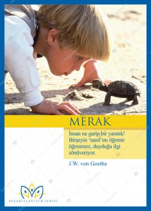 Merak Motivasyon Aforizmalar