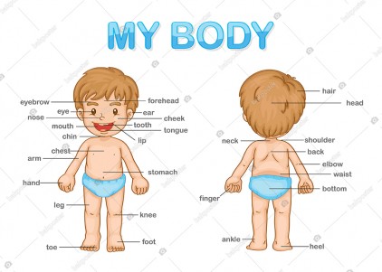 My Body İngilizce Poster