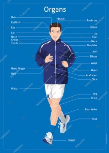 Organs İngilizce Poster