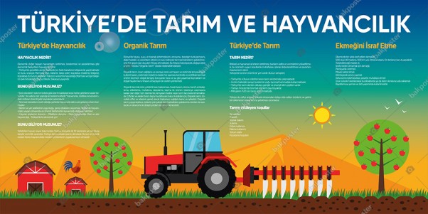 Tarım ve Hayvancılık