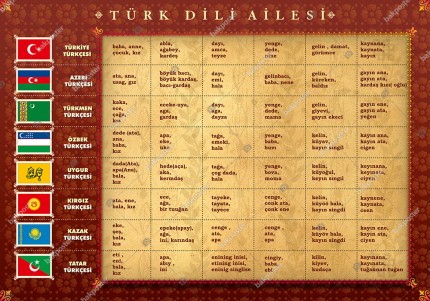 Türk Dil Ailesi
