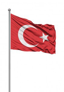 Türk Bayrağı (80x120cm) Gönder Bayrak