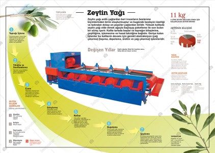 Zeytin Yağı